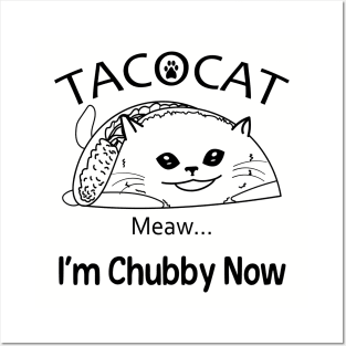 Cat Taco Tacocat Posters and Art